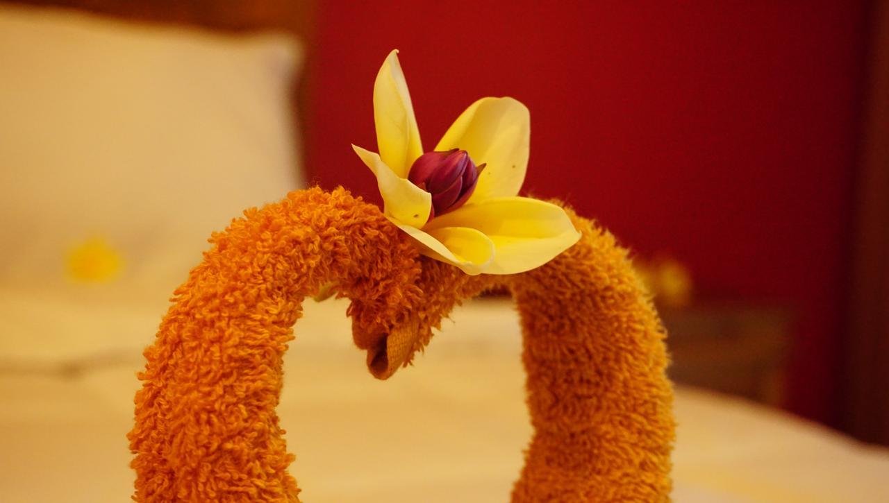 Nyuh Gading Accommodation Ubud Luaran gambar